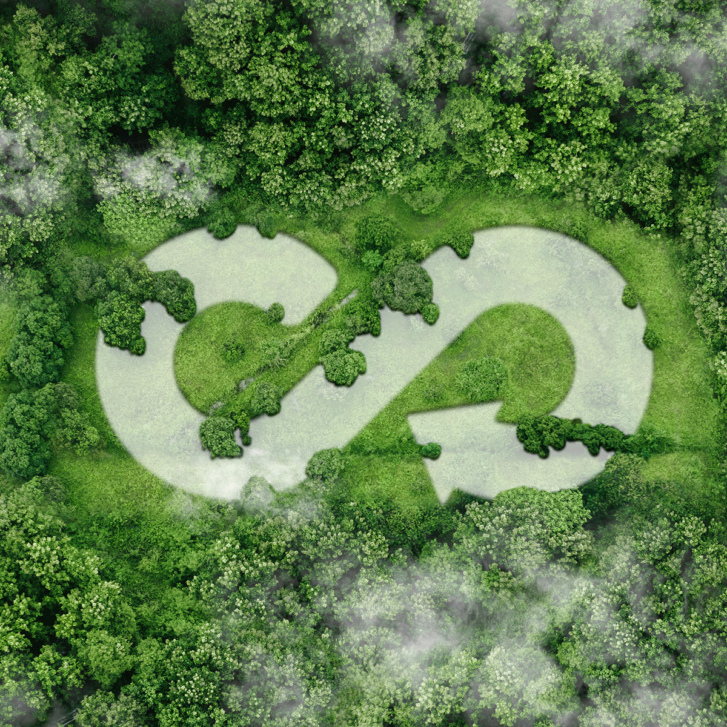 A sustainable circular economy